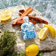 Light Blue Summer Vibes pour Homme Dolce & Gabbana