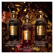 Absolus Allegoria Rose Amira GUERLAIN